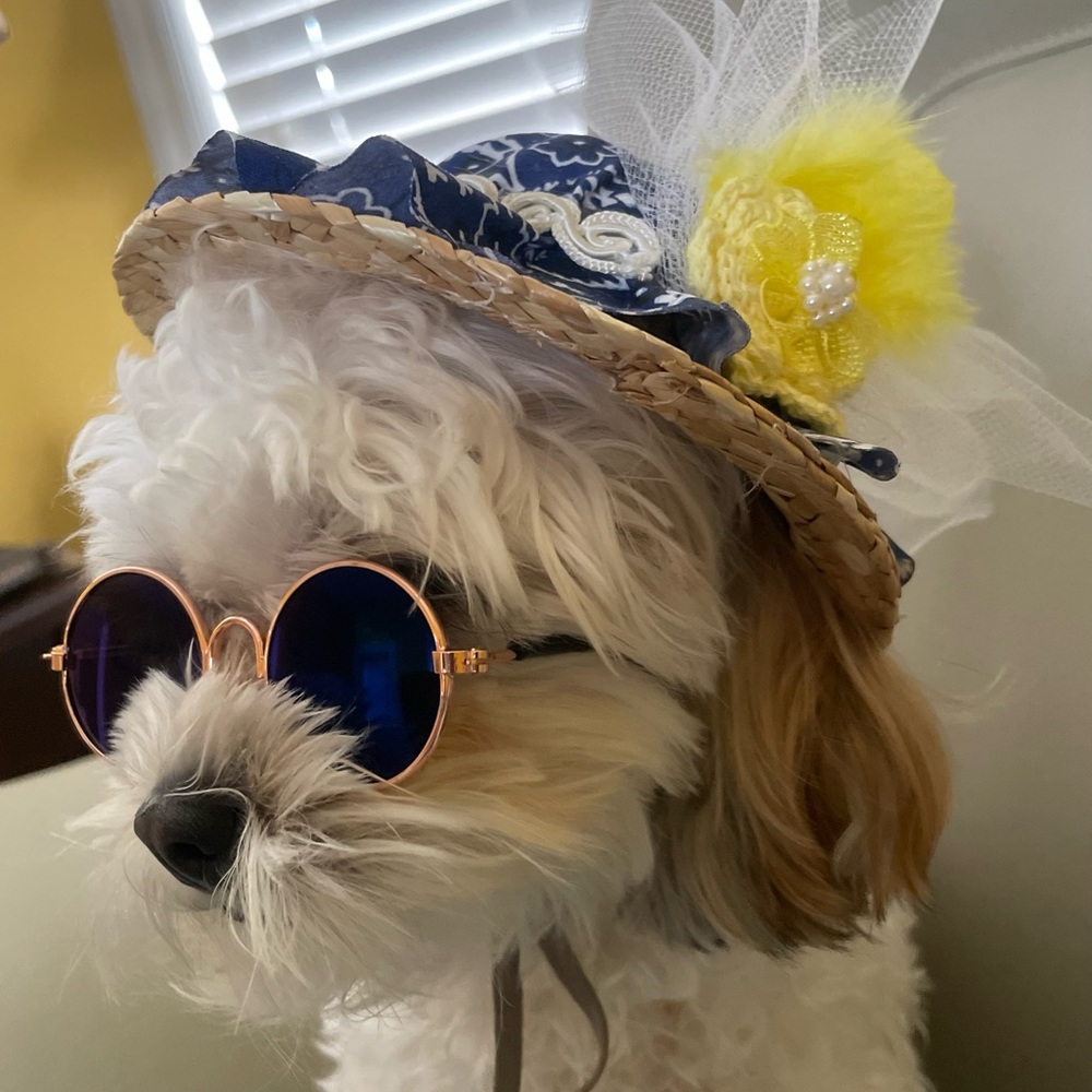 Small Straw Pet hat decorated with feathers & sunglasses for small dog or cat